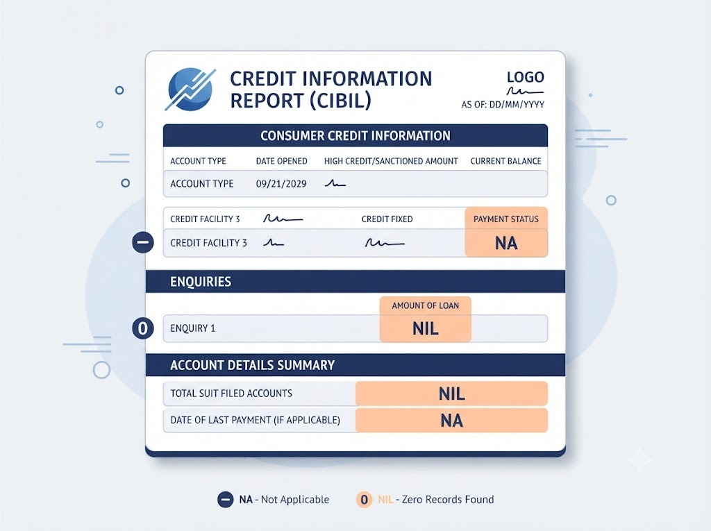 CIBIL report fields showing NA and NIL values explained